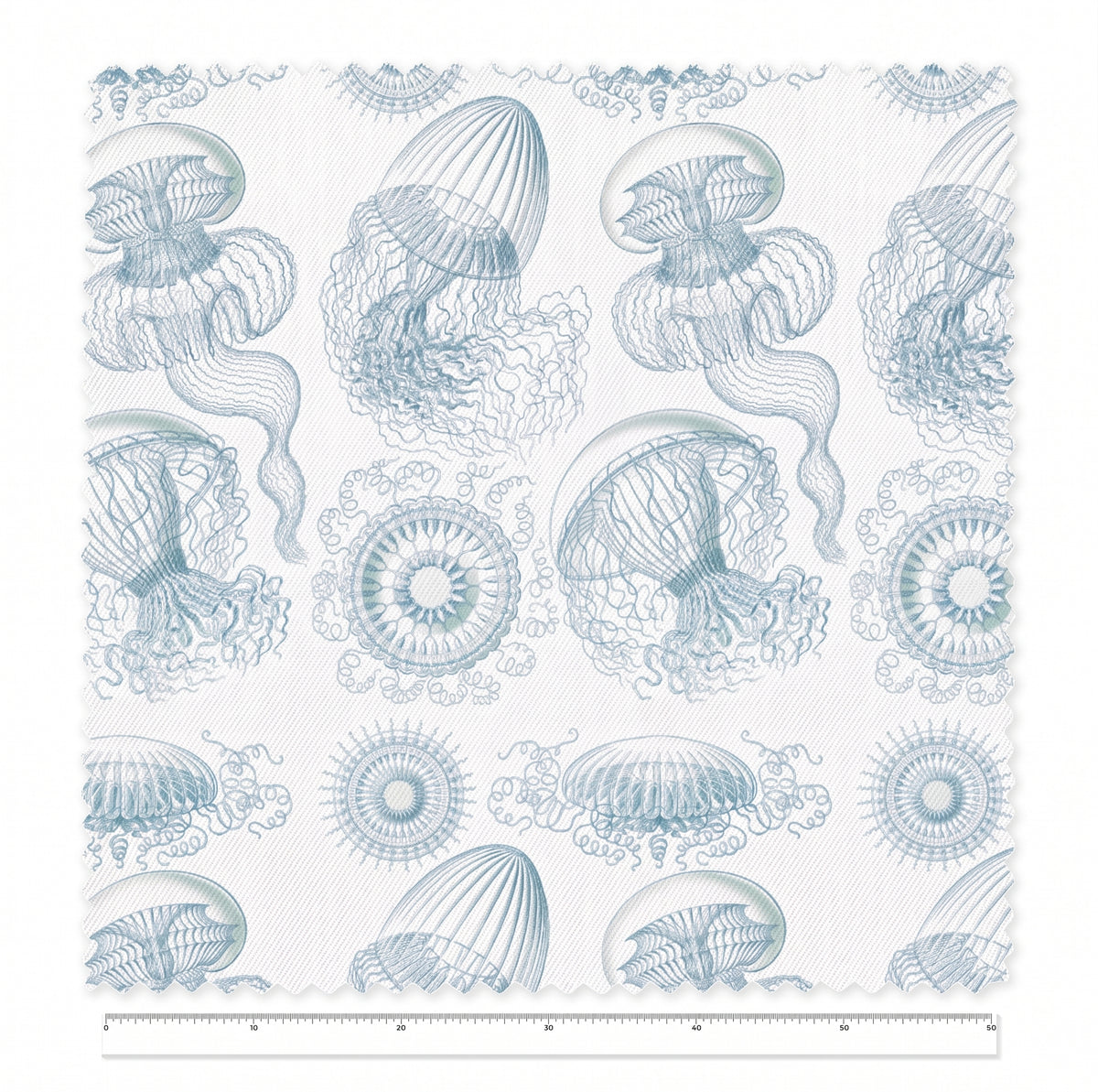 Leptomedusae / Ernst Haeckel