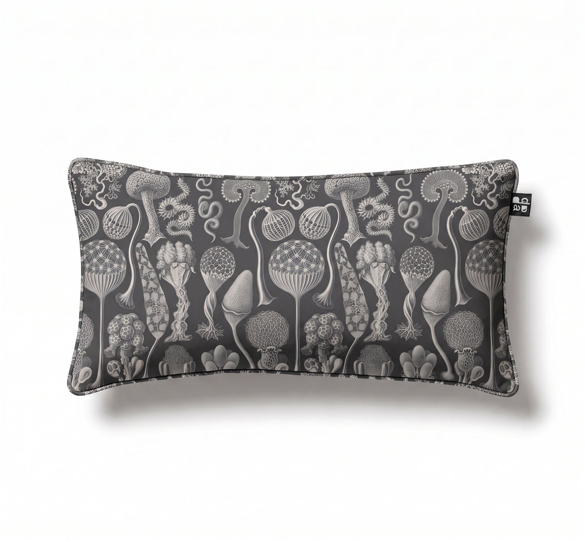 Mycetozoa / Ernst Haeckel