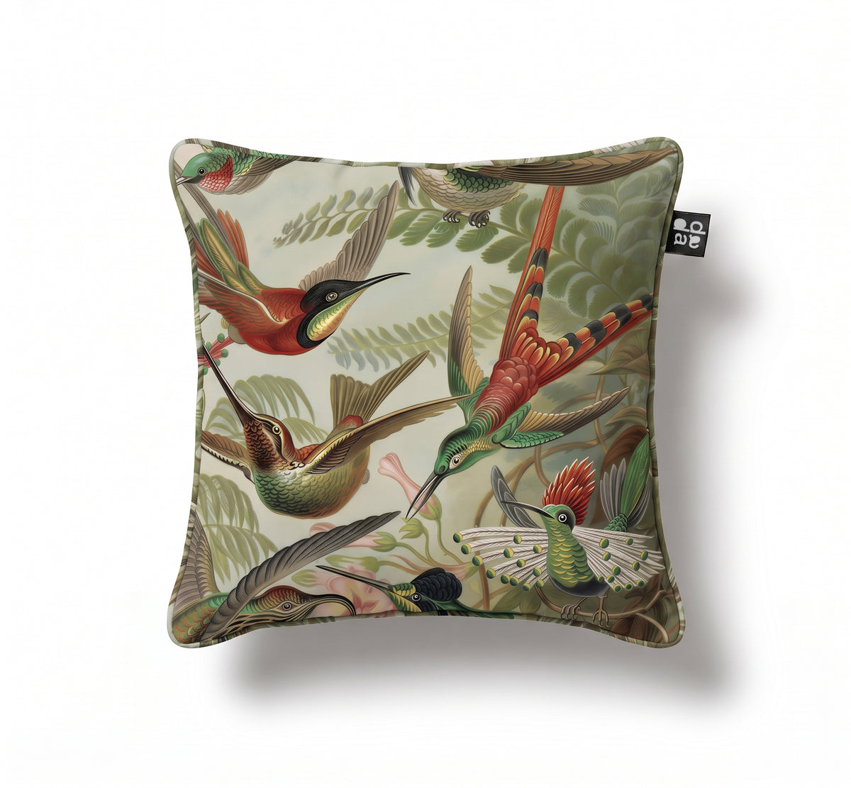Trochilidae / Ernst Haeckel