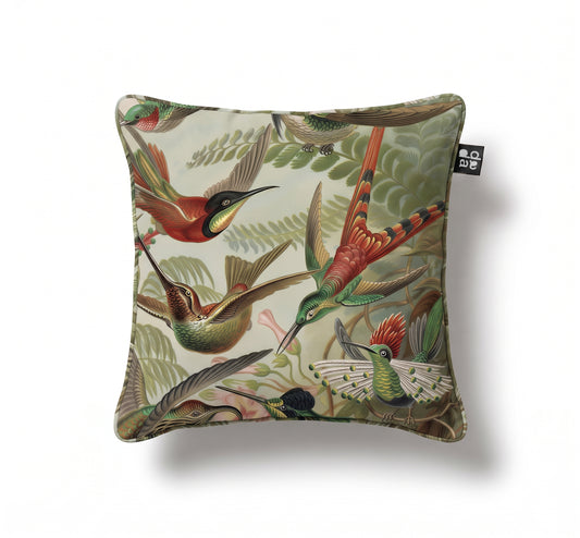 Trochilidae / Ernst Haeckel