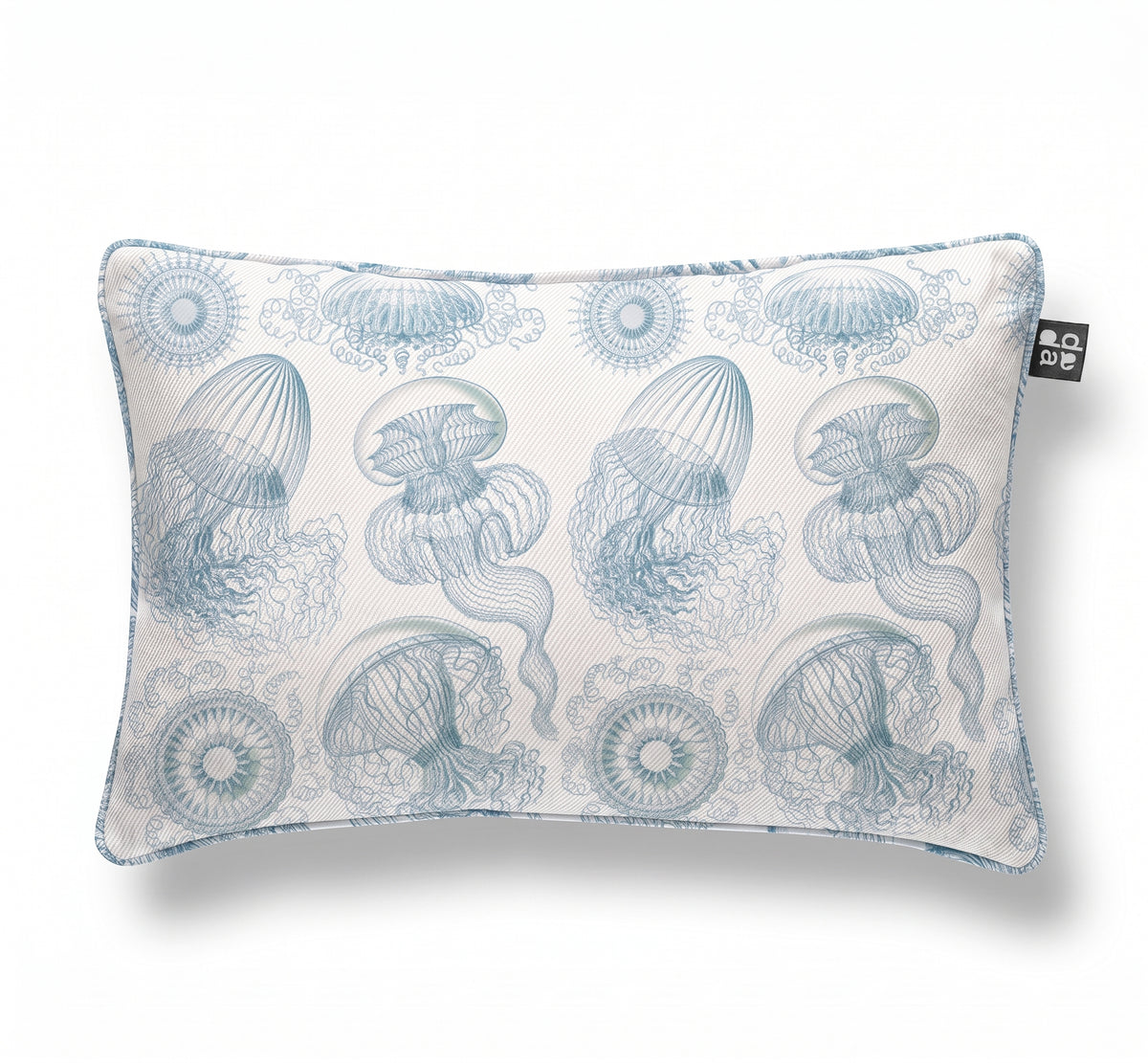 Leptomedusae / Ernst Haeckel
