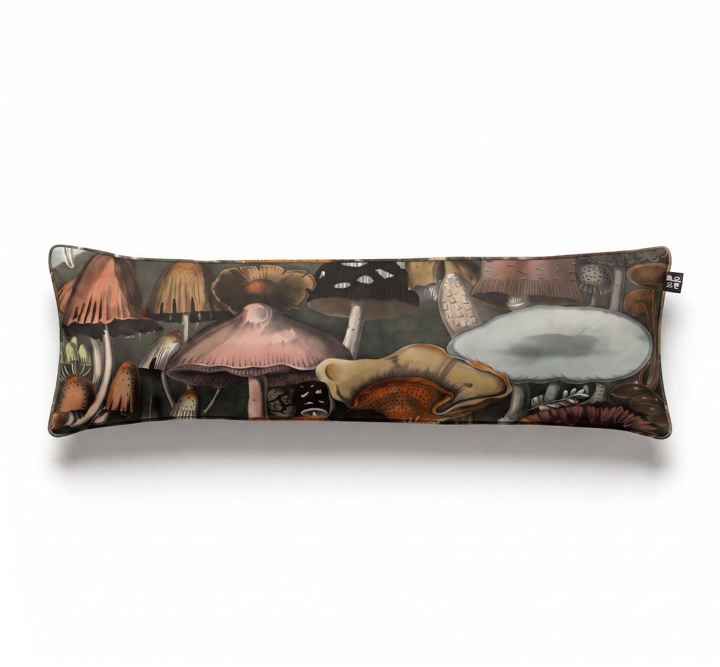 Suspect Mushrooms / A. Cornillon