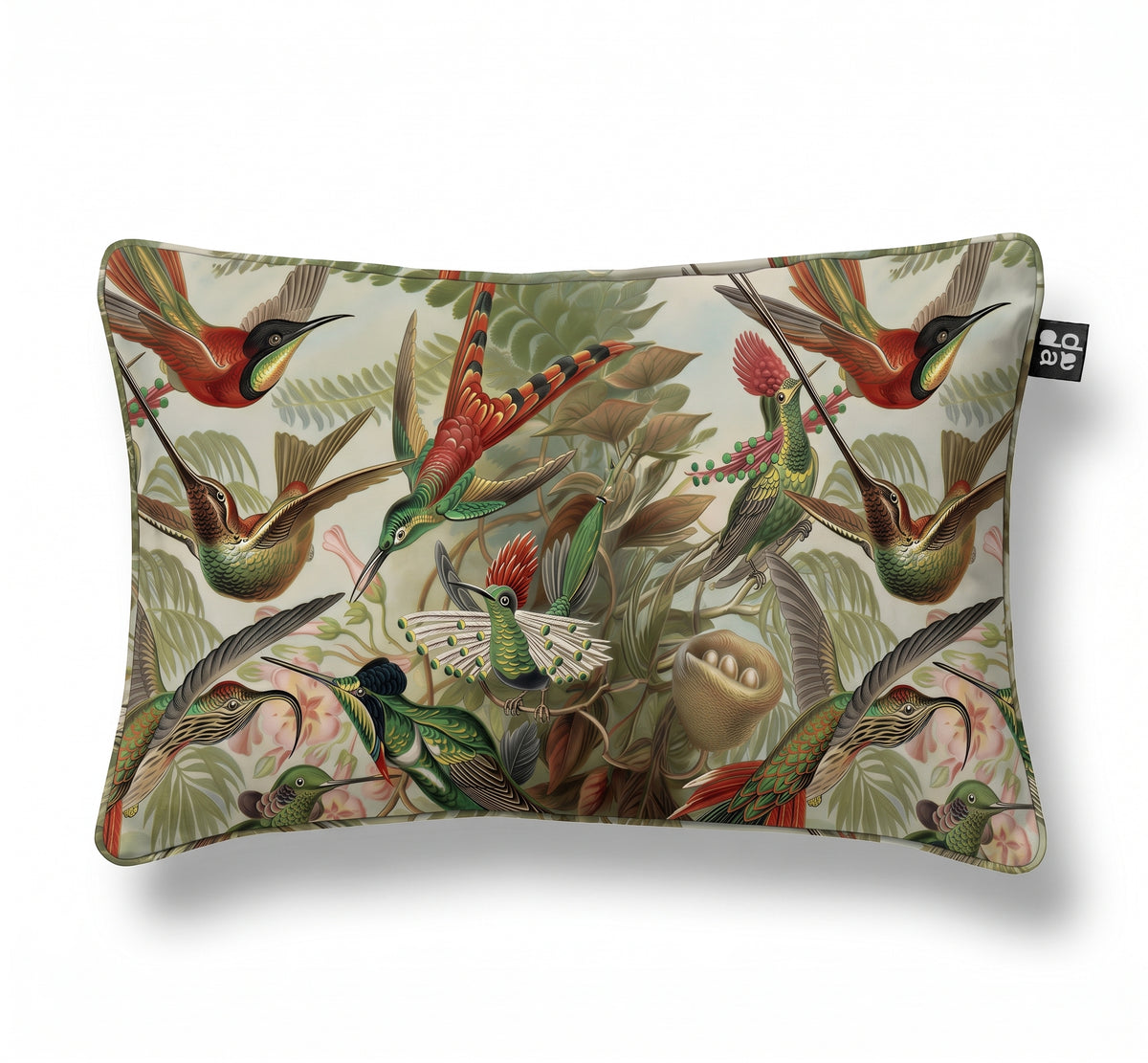 Trochilidae / Ernst Haeckel