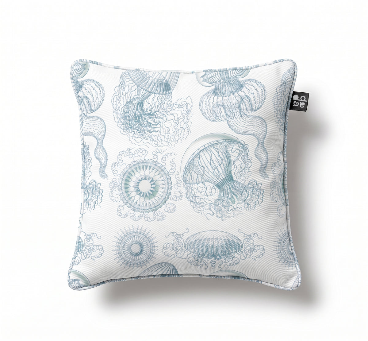 Leptomedusae / Ernst Haeckel