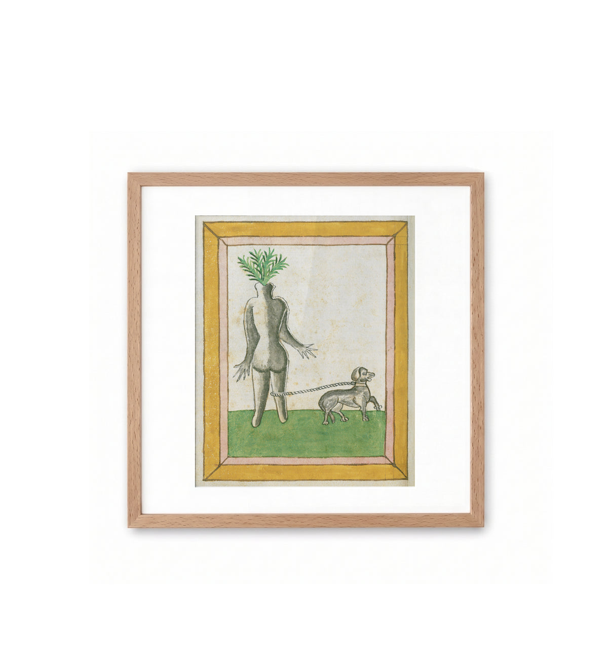 Mandrake Root / Johannes Hartlieb