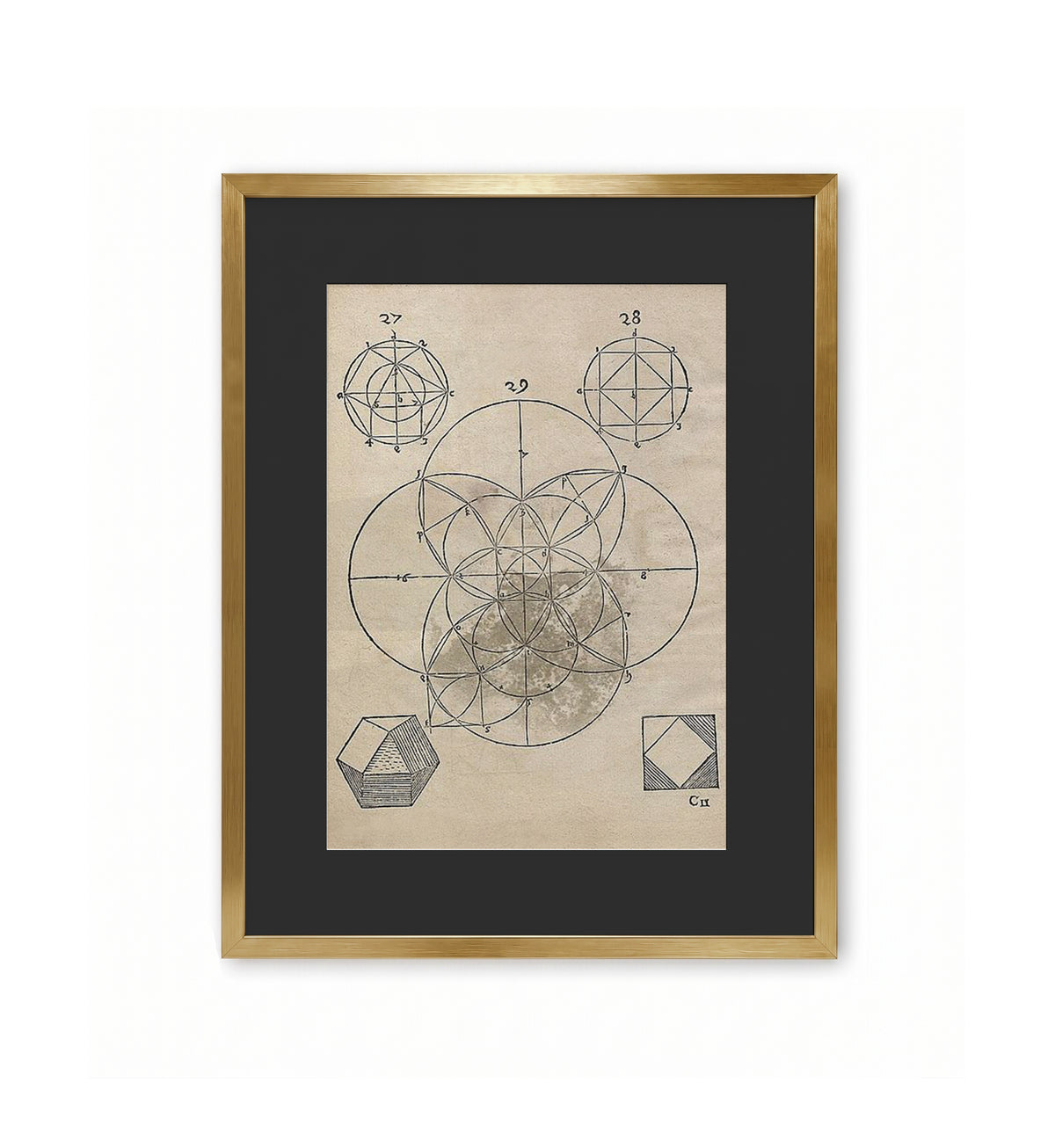 Geometria – Plate 12 / Augustin Hirschvogel