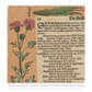 Hortus III / Wilhelm Dilich – Tela x metro