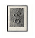 Aristotle & Eudoxus / James Nasmyth