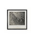 Plato / James Nasmyth