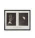 Back of Hand & Shrivelled Apple / James Nasmyth