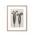 Brotes plumosos / Karl Blossfeldt
