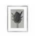 Cardo en botón / Karl Blossfeldt