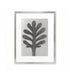 Hoja pinnada / Karl Blossfeldt