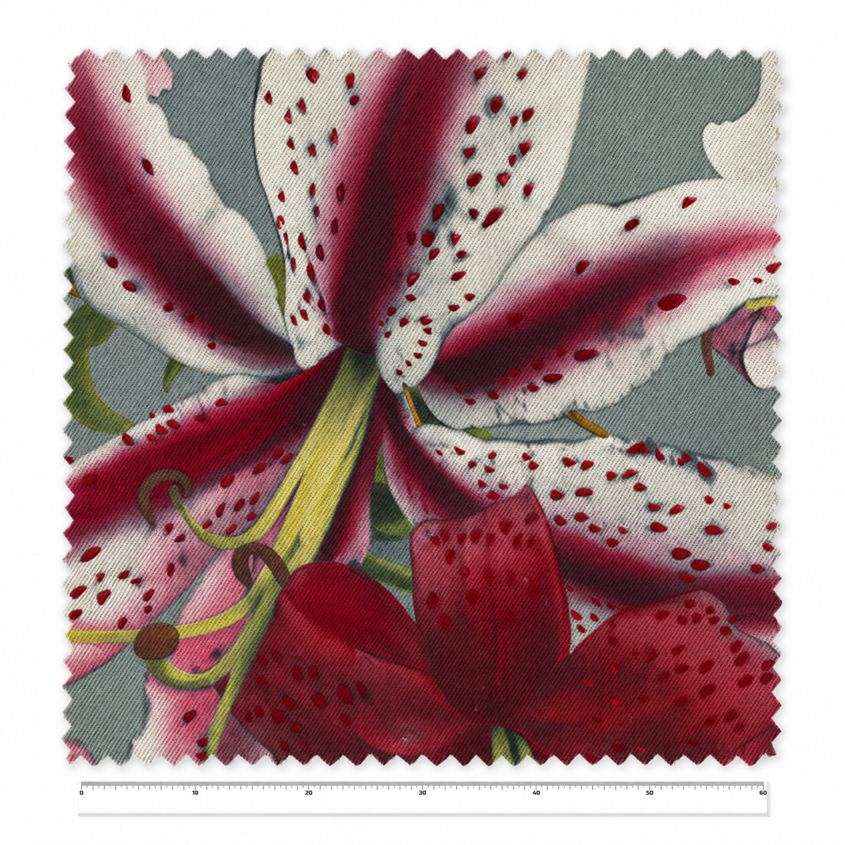 Lily, Hand-Colored Collotype No. 6 / Ogawa Kazumasa – Tela x metro