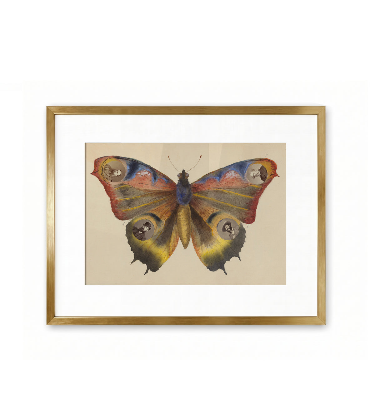 Butterfly Collage / Madame B