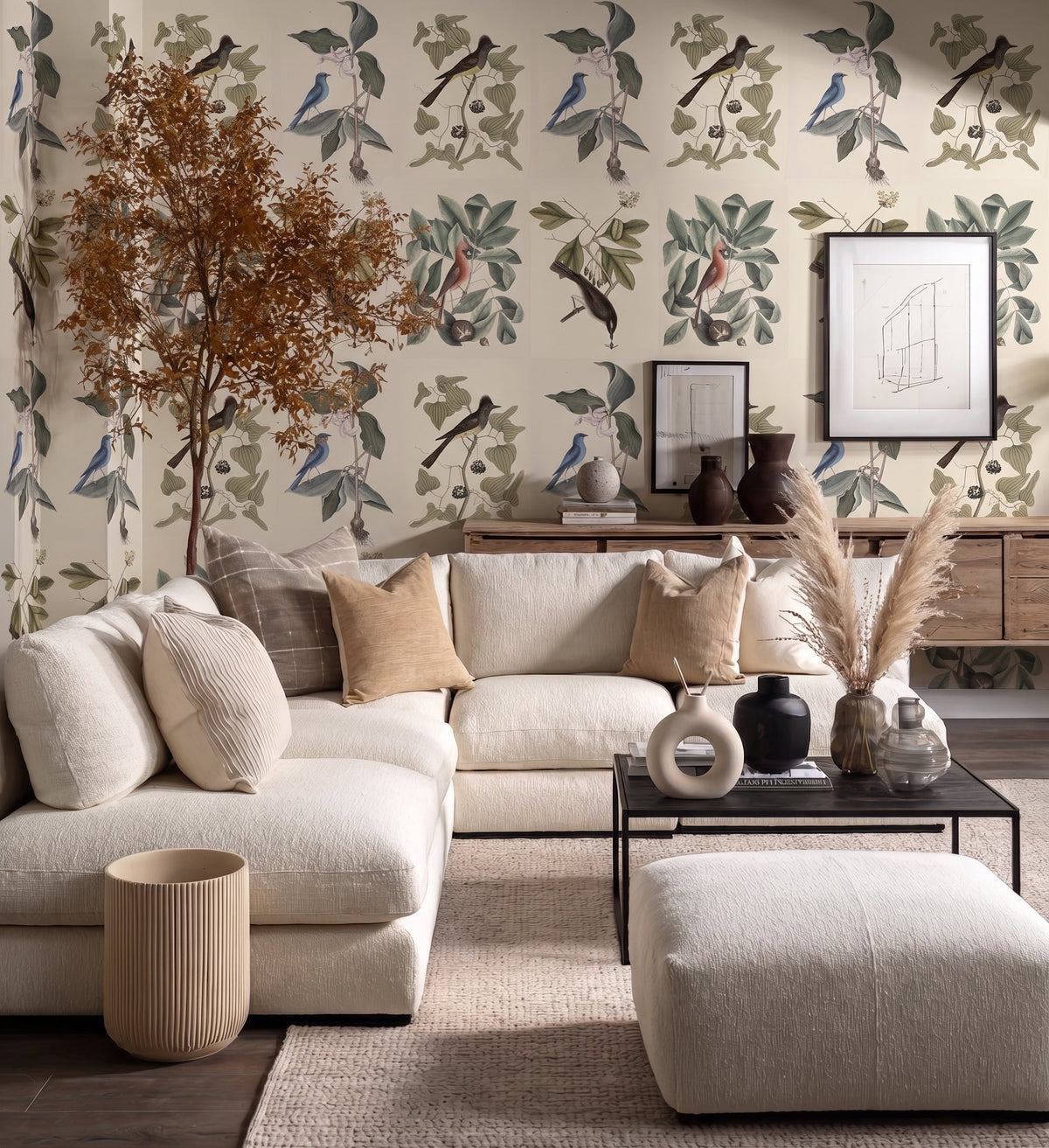 Aves de Carolina / Mark Catesby