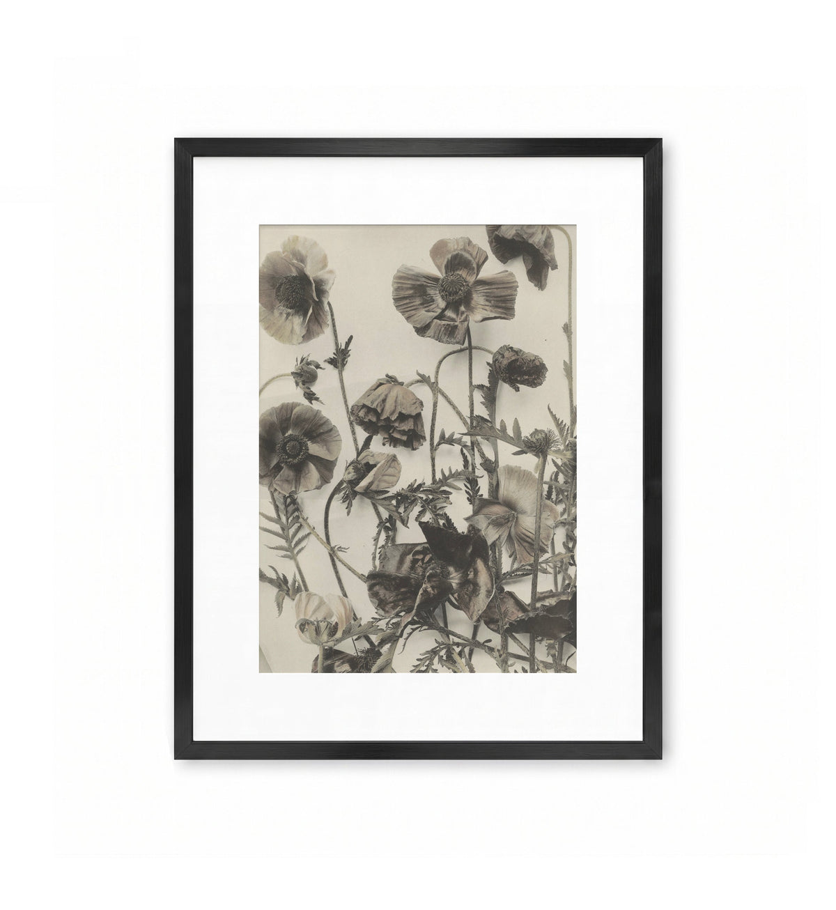 Formenwelt IV / Martin Gerlach