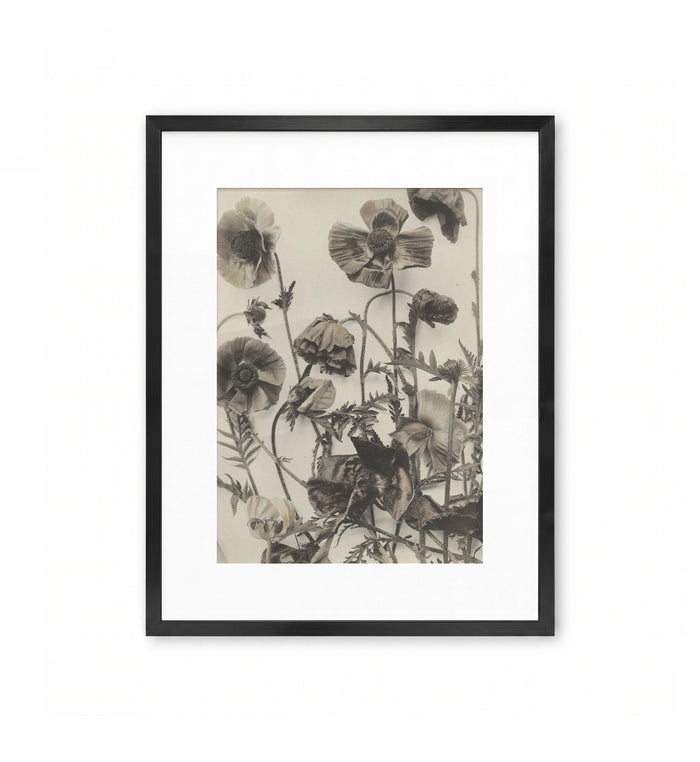 Formenwelt IV / Martin Gerlach