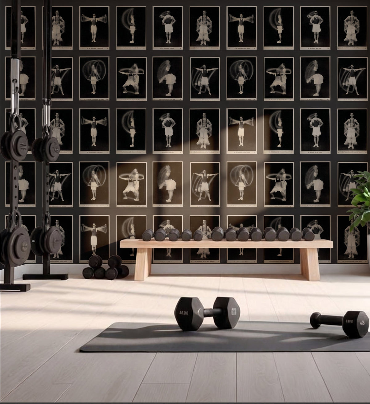 Physical Training / A. B. Phelan