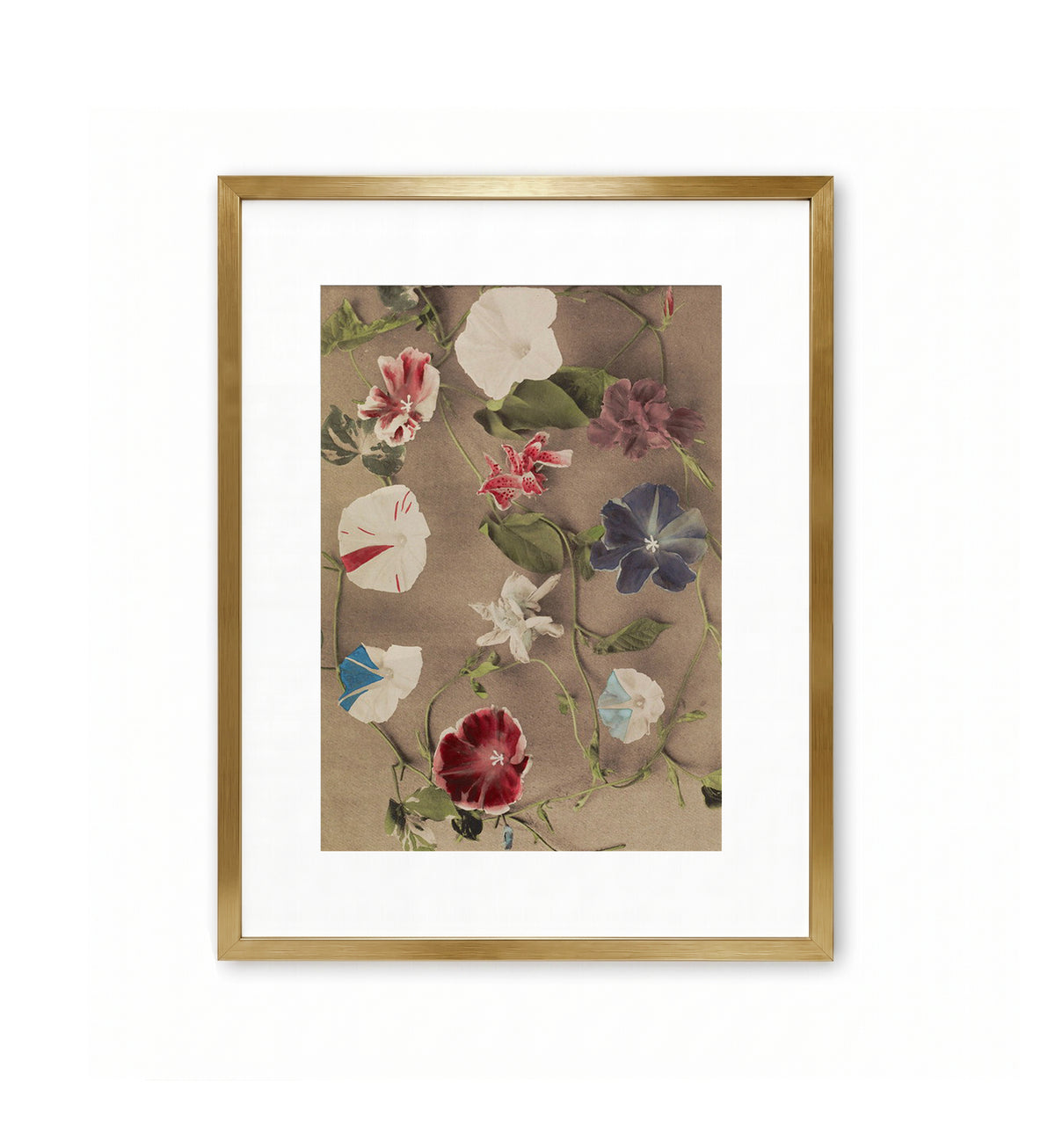 Group of Morning Glories / Ogawa Kazumasa