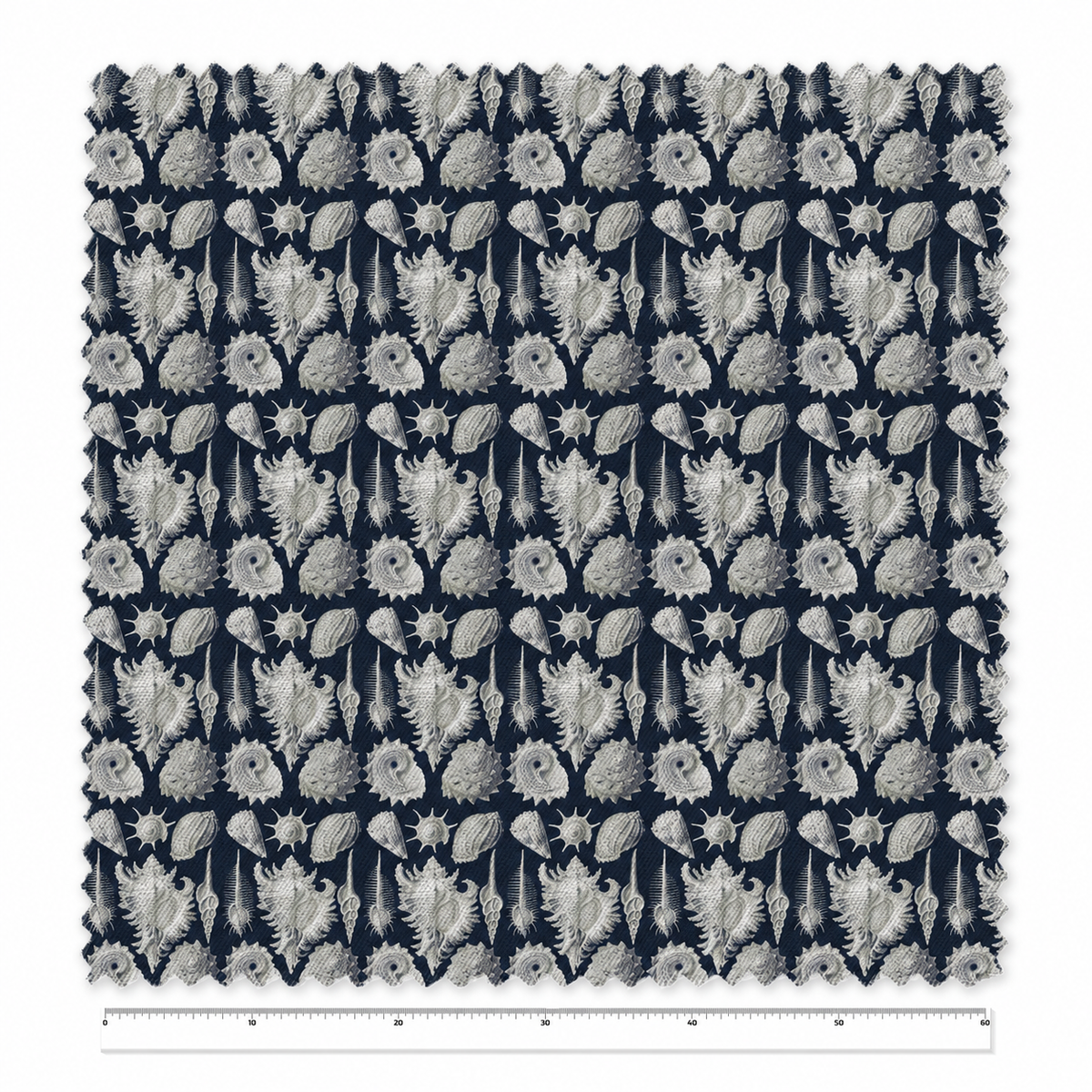 Prosobranchia / Ernst Haeckel – Tela x metro