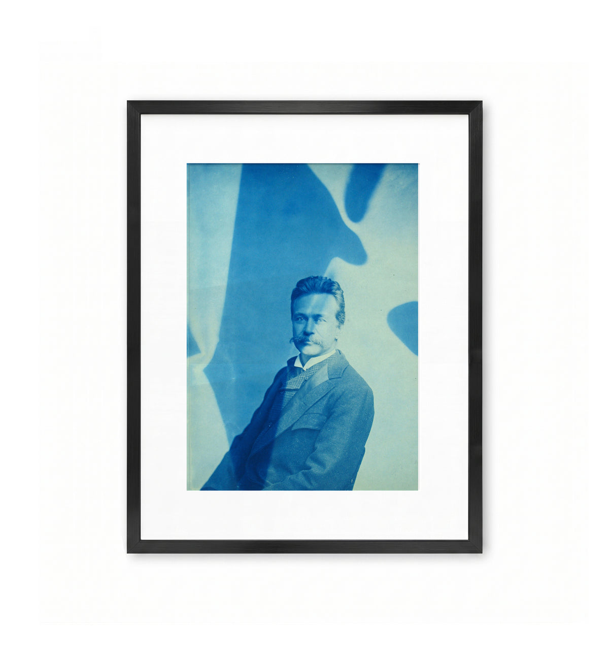 Smithsonian Cyanotypes II / Thomas Smillie