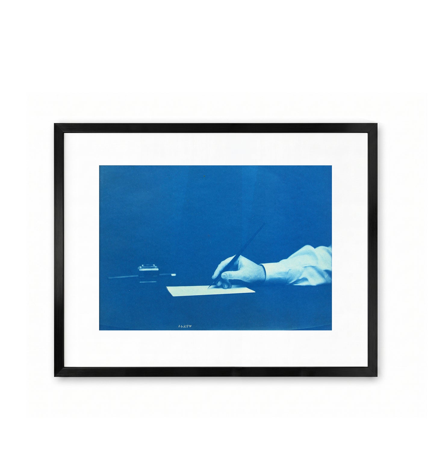 Smithsonian Cyanotypes III / Thomas Smillie
