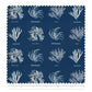 Photographs of British Algae / Anna Atkins